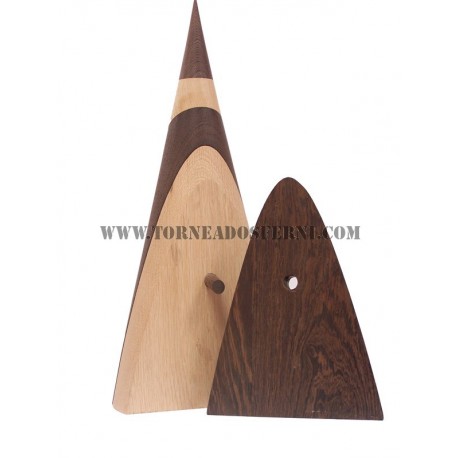 Cono de Apolonio desmontable 50 cm